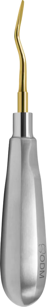 Root Elevator Luxator  3mm Double Curved and Straight - Gold plated - Adult