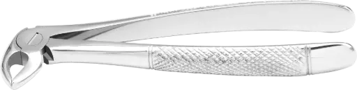Lower incisor & Canine - Individual - Standard