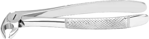 Lower Molars - Individual -Standard