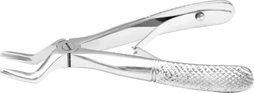 Klein upper roots- Individual - Standard - Paediatric