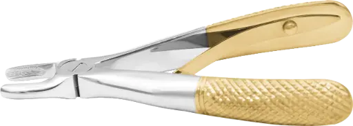 Klein upper incisors & Canines - Individual - Gold Plated - Paediatric