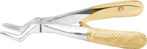 Klein upper roots- Individual - Gold Plated - Paediatric