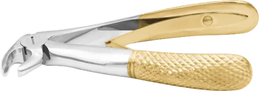 Klein lower roots- Individual - Gold Plated - Paediatric